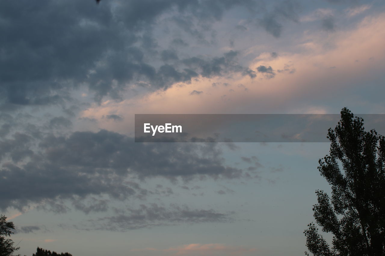 LOW ANGLE VIEW OF SILHOUETTE TREE AGAINST SKY AT SUNSET