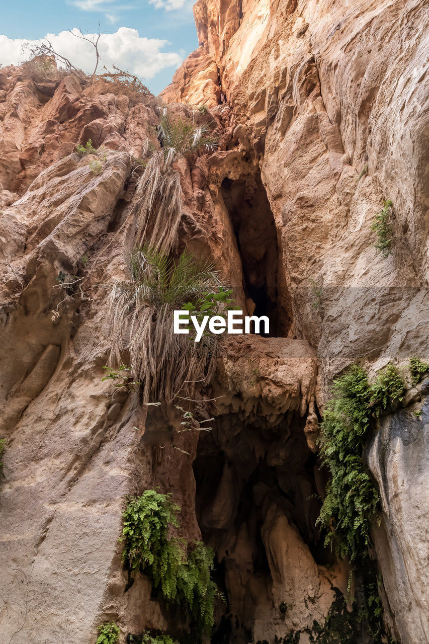 rock, rock formation, nature, beauty in nature, scenics - nature, environment, wadi, travel destinations, geology, landscape, non-urban scene, sky, land, plant, no people, travel, physical geography, eroded, cloud, mountain, tree, terrain, cliff, tranquility, outdoors, arch, formation, day, extreme terrain, canyon, desert, natural arch, valley, cave, activity, outdoor pursuit, tourism, accidents and disasters, climate, mountain range, idyllic, sunlight, tranquil scene, arid climate, architecture, sandstone, history