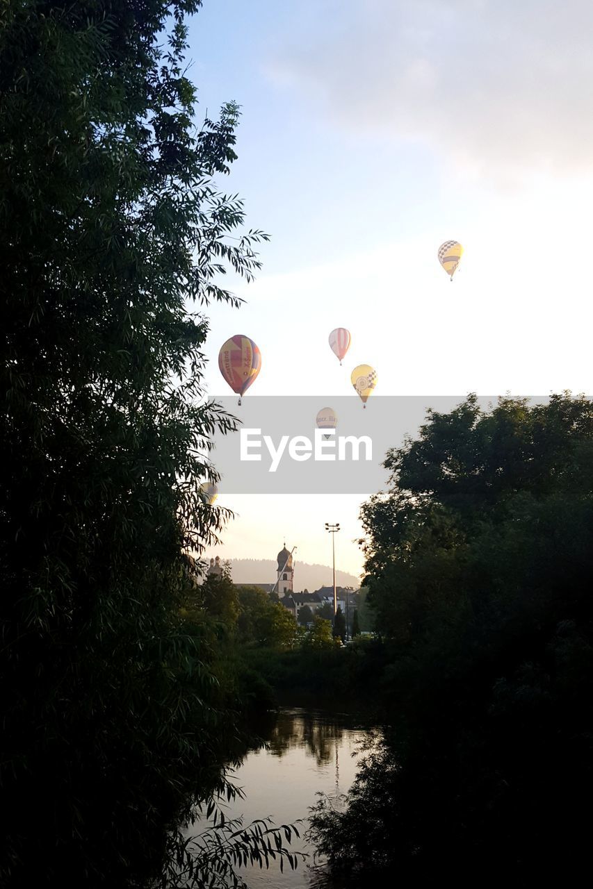 VIEW OF HOT AIR BALLOON AGAINST TREES