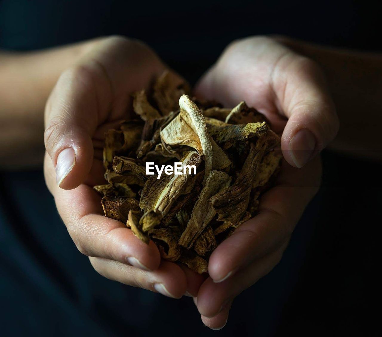 Close-up of hands holding dried leaves