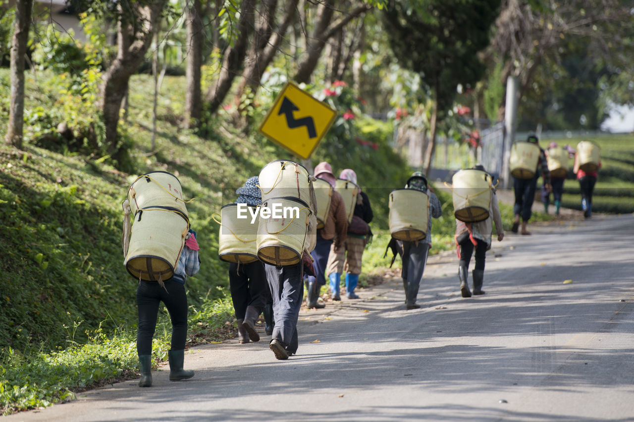 Rear view of people walking on road