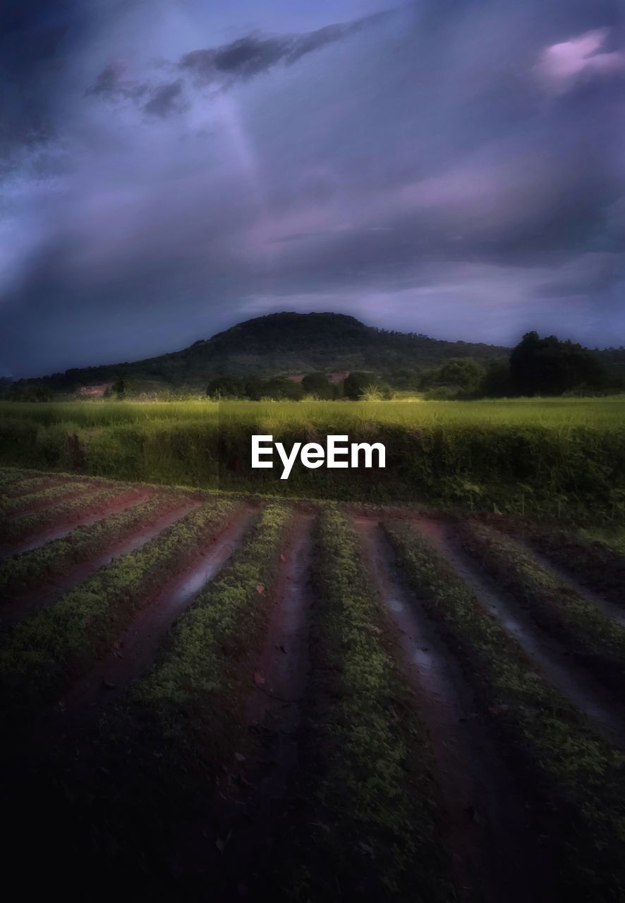 SCENIC VIEW OF LAND AGAINST SKY DURING SUNSET