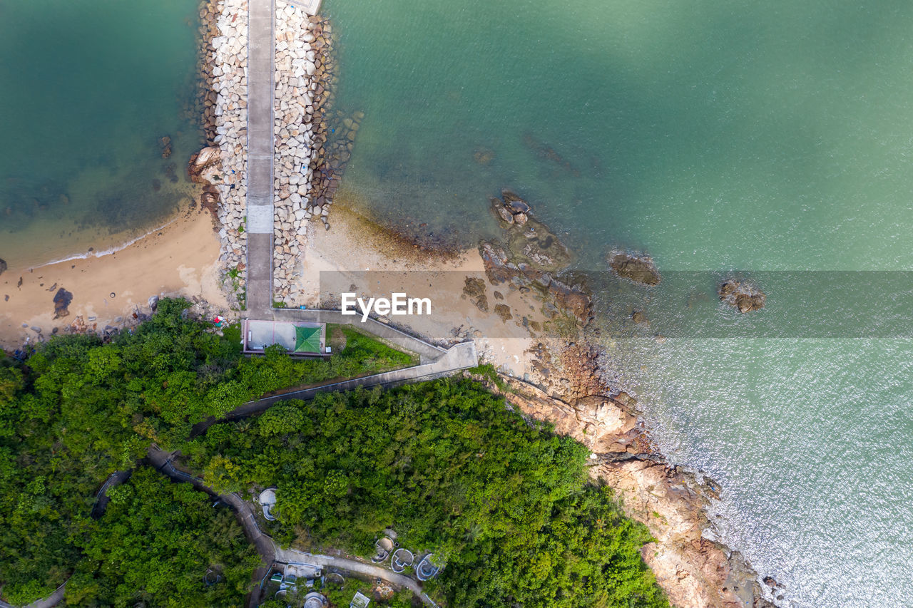 HIGH ANGLE VIEW OF TREES AND SEA