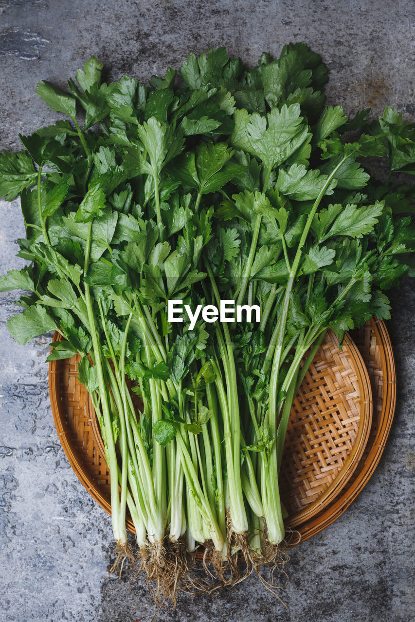 Fresh celery- ingredient for cooking