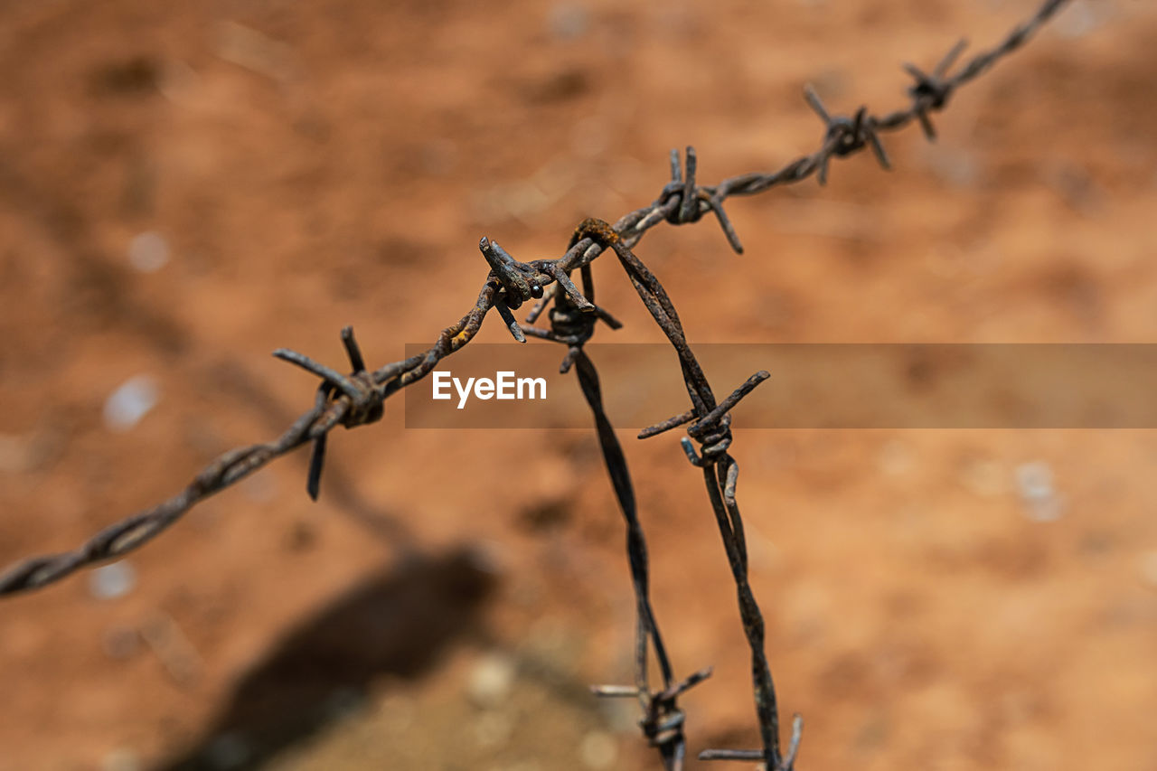 Barbed wire, close up.