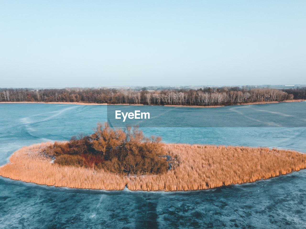 SCENIC VIEW OF LAKE BY TREE AGAINST CLEAR SKY