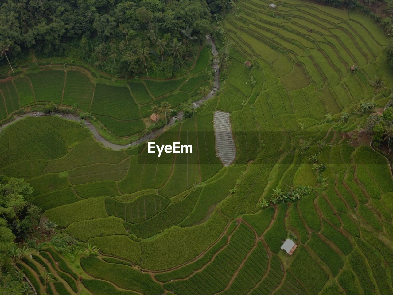 high angle view of agricultural landscape