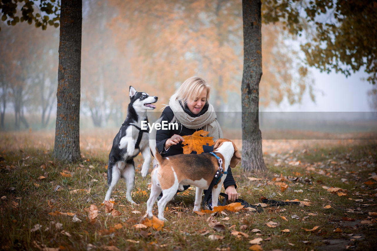 Playful woman with dogs during autumn