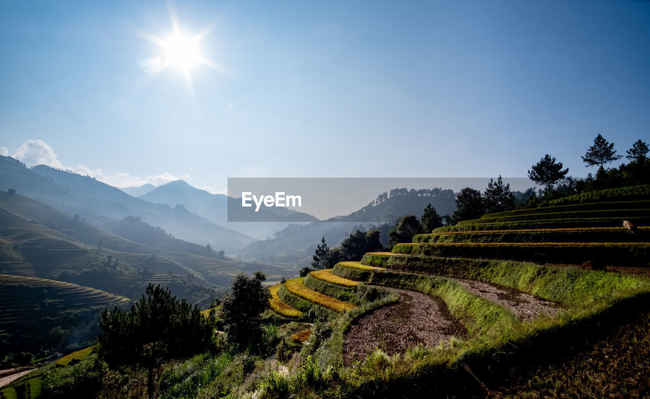 Viewpoint terraced rice fields the morning sun shines on the rice fields.at mu cang chai in vietnam.