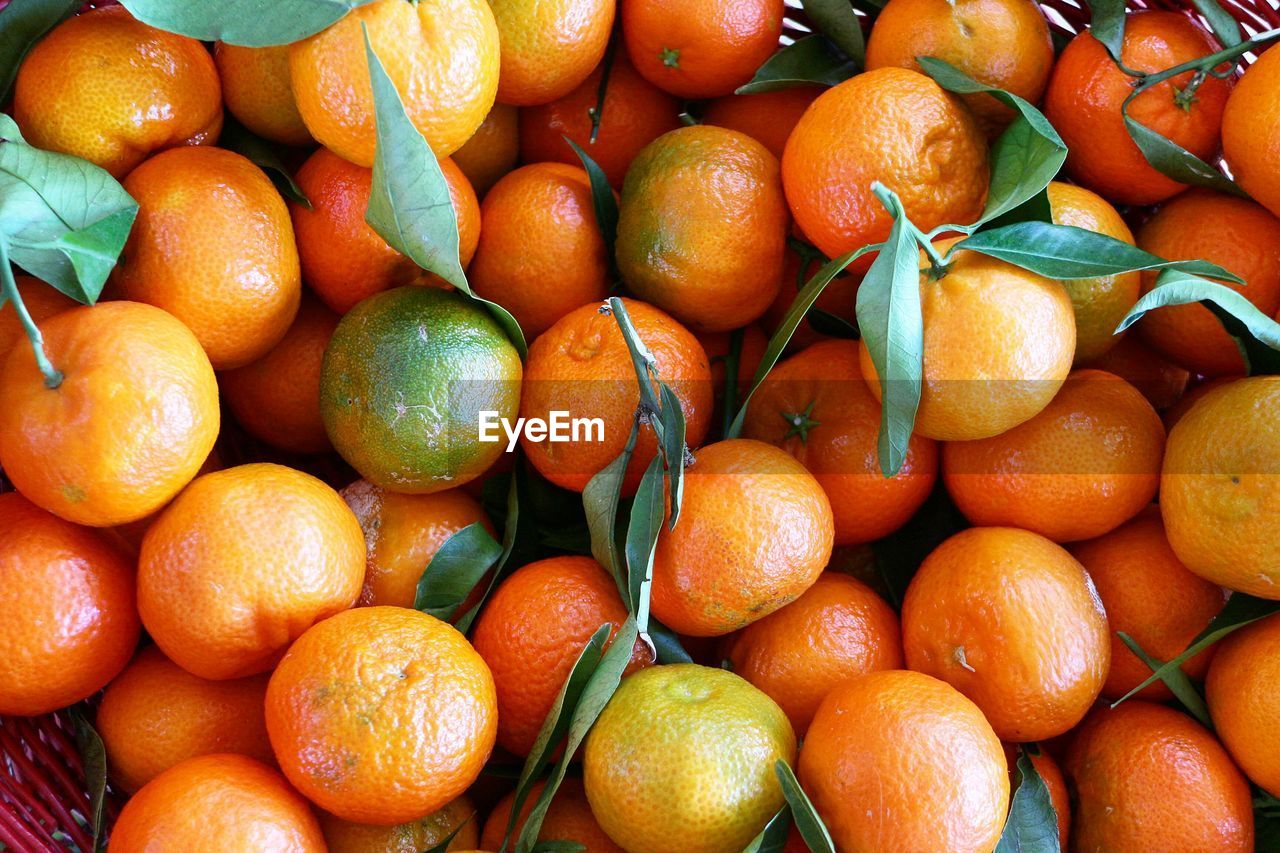 High angle view of oranges for sale at market stall