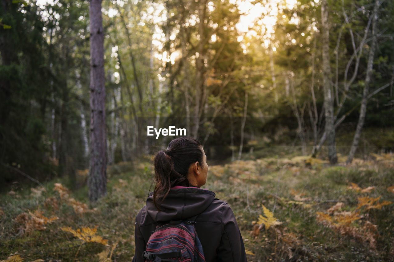 Rear view of woman in autumn forest