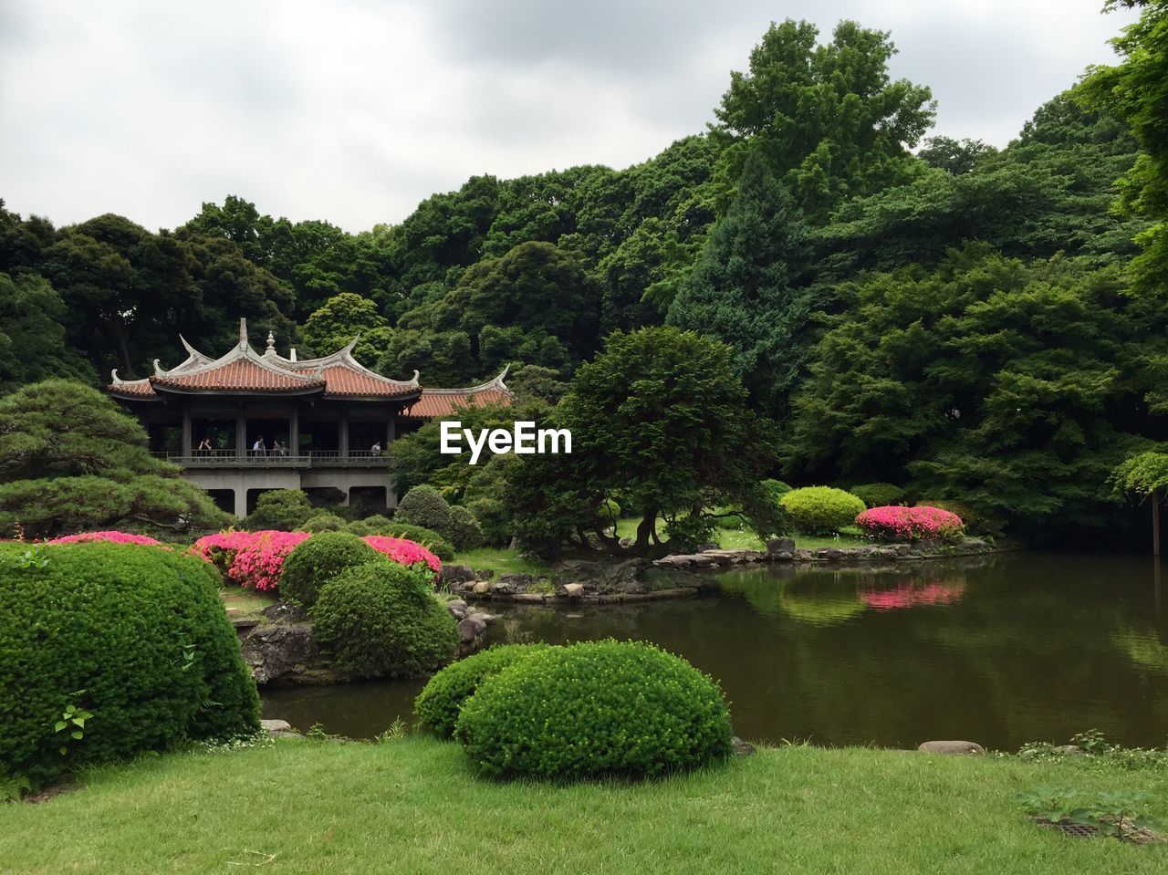 VIEW OF POND IN PARK
