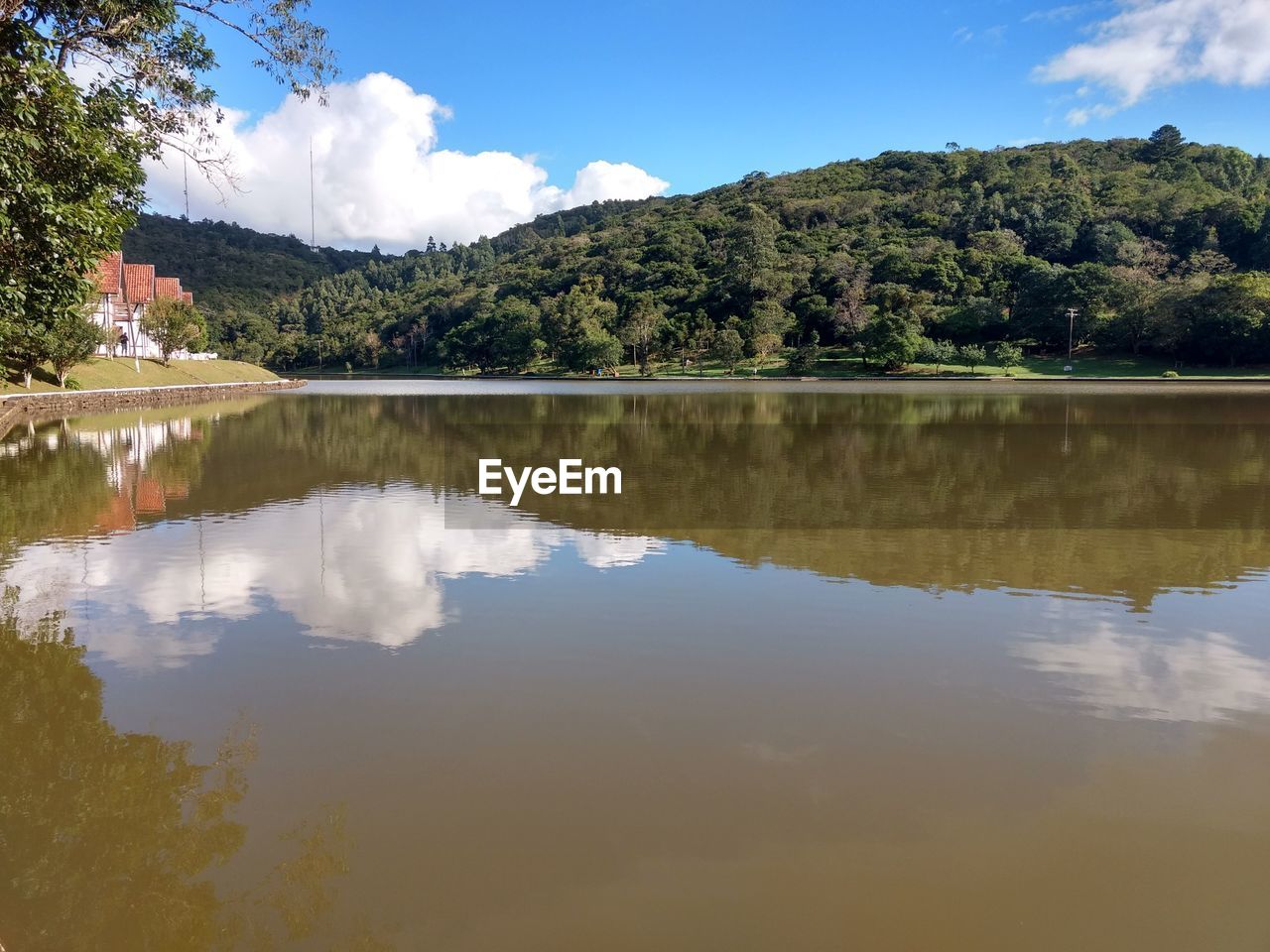 Scenic view of lake by trees against sky