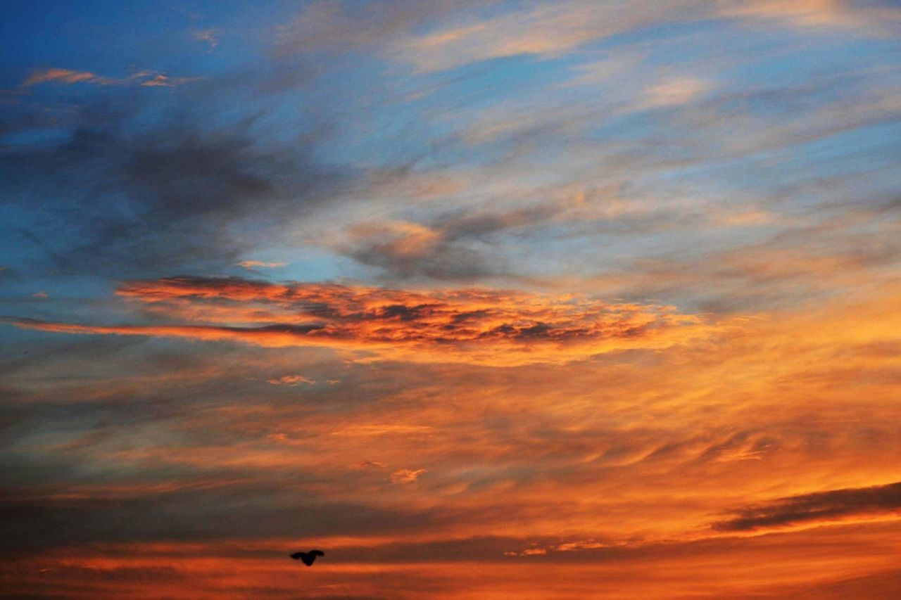 LOW ANGLE VIEW OF DRAMATIC SKY