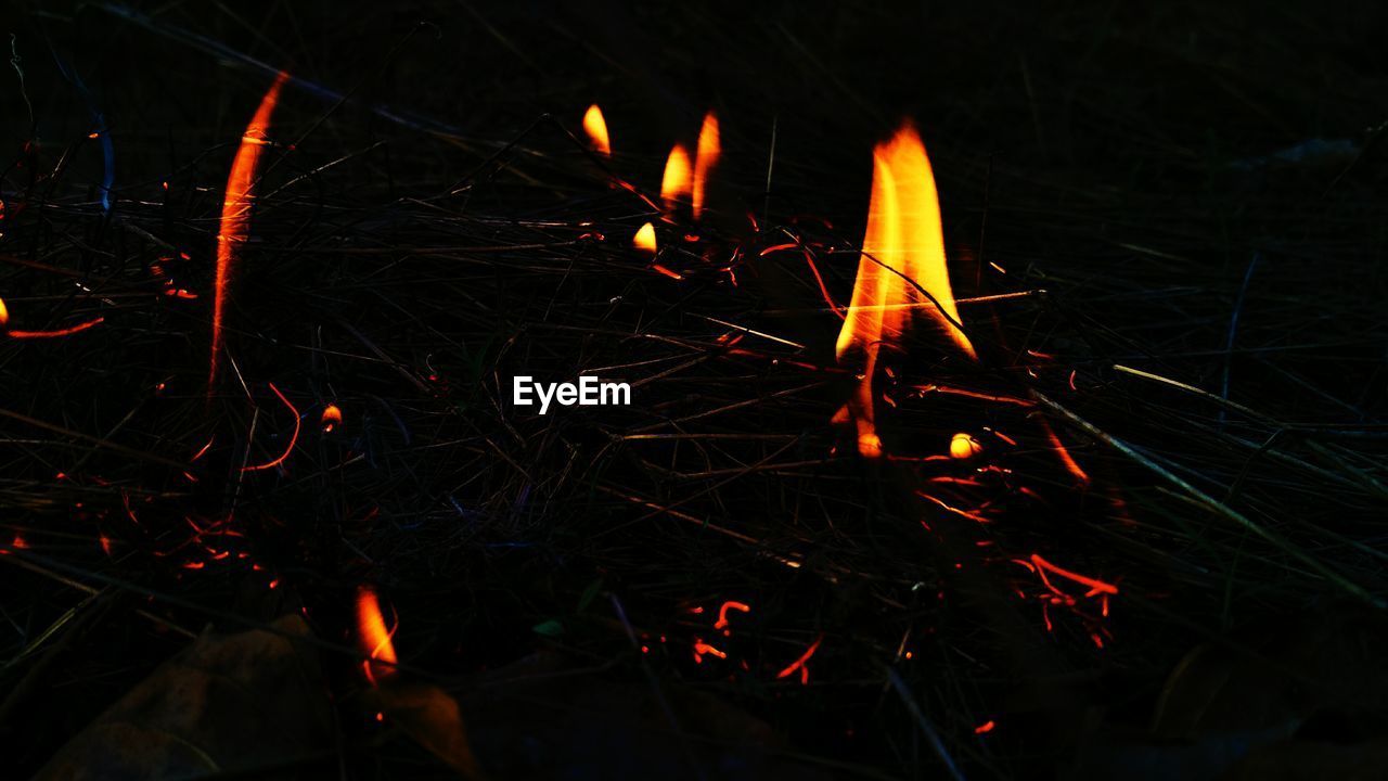 CLOSE-UP OF BURNING FIRE