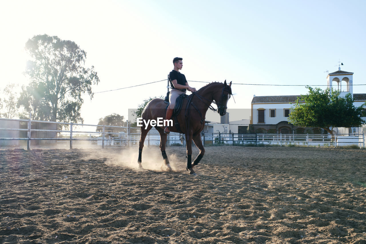 Side view of male equestrian in boots and uniform riding horse on sand arena on ranch during training