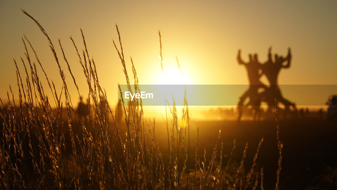 SILHOUETTE PLANTS ON LAND AGAINST SKY DURING SUNSET