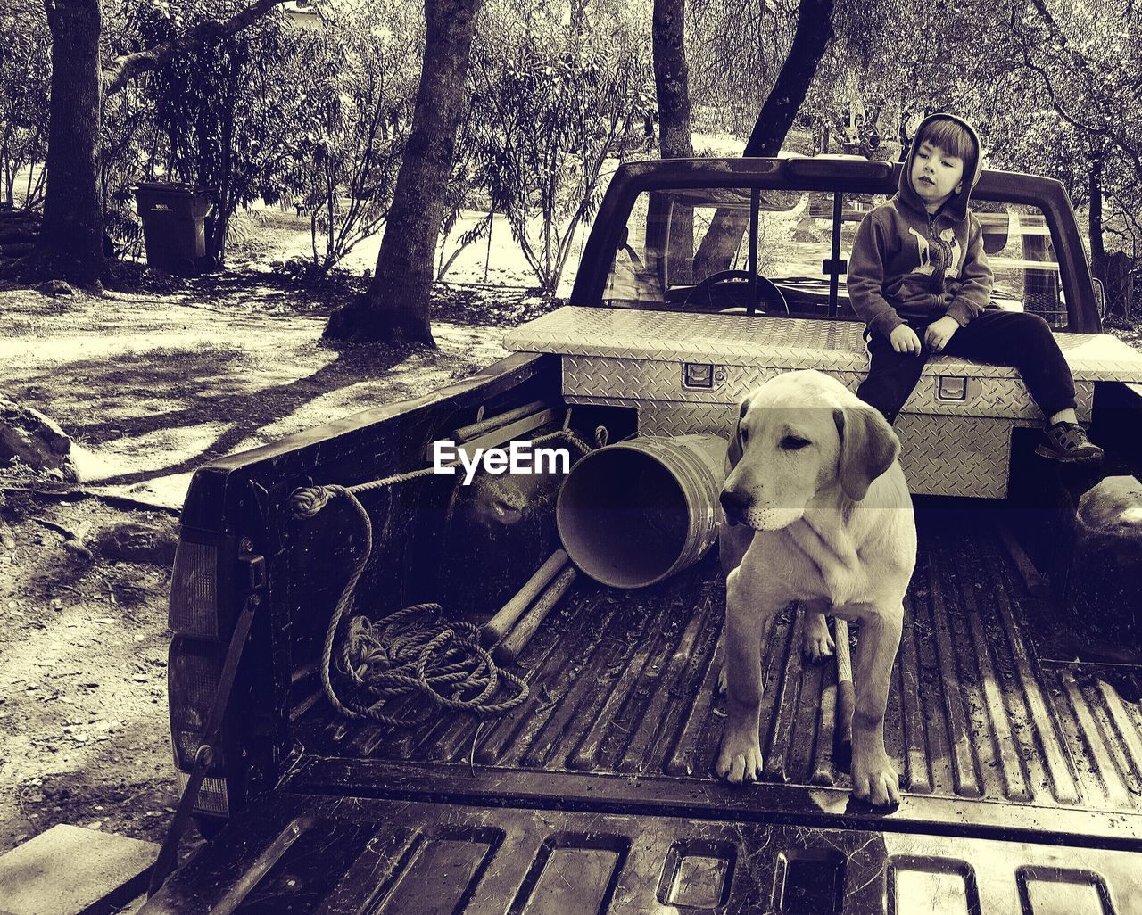 Boy sitting with dog in pick-up truck