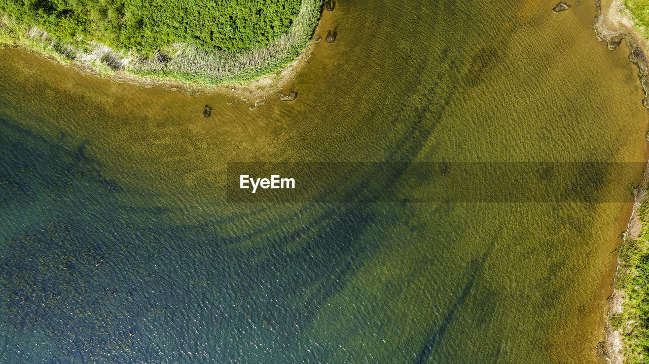 High angle view of trees on land