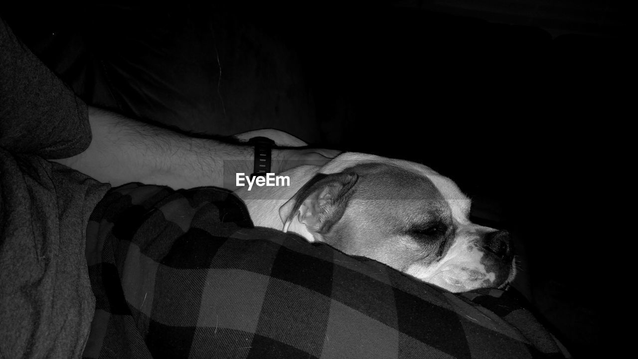 Cropped image of man with dog in darkroom