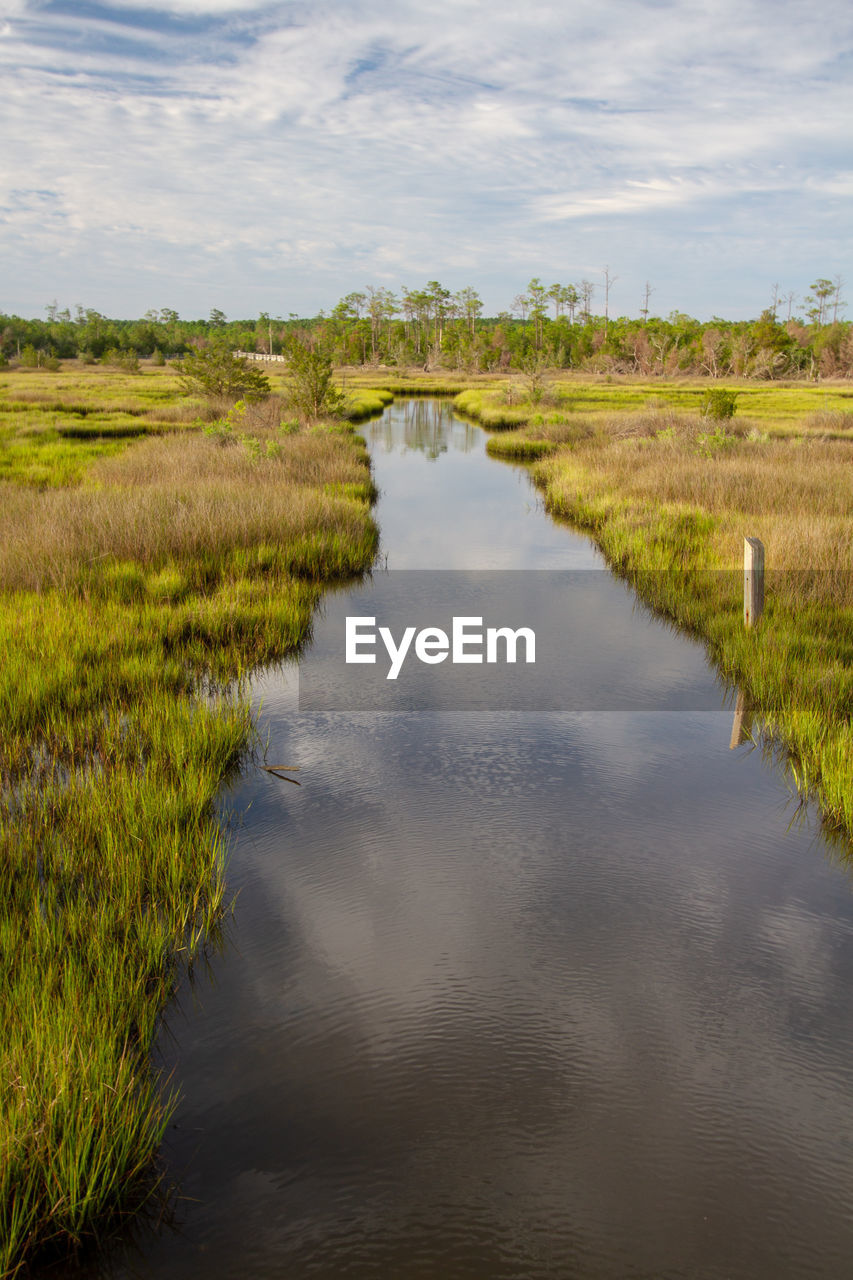 Scenic view of marsh wetland against sky