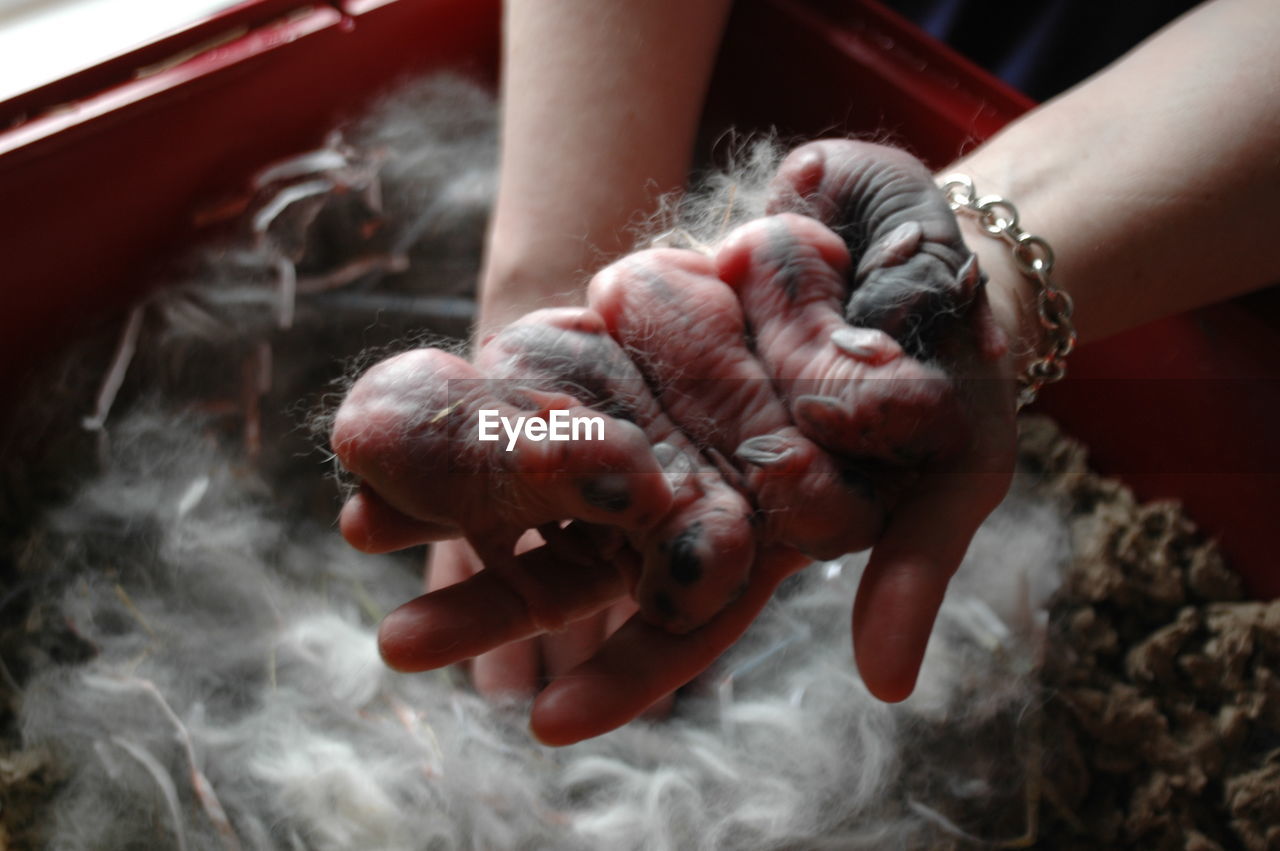 CLOSE-UP OF HANDS HOLDING ROPE