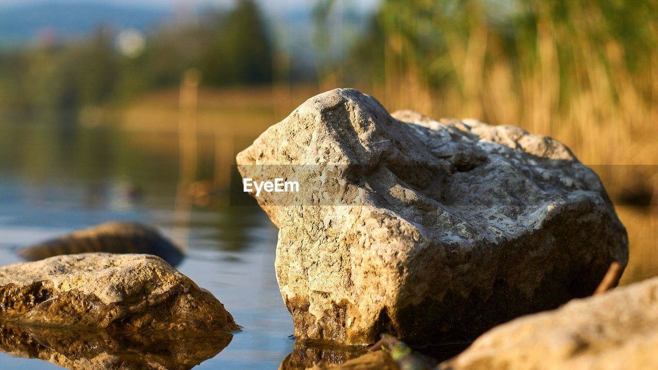 Close-up of rock in lake