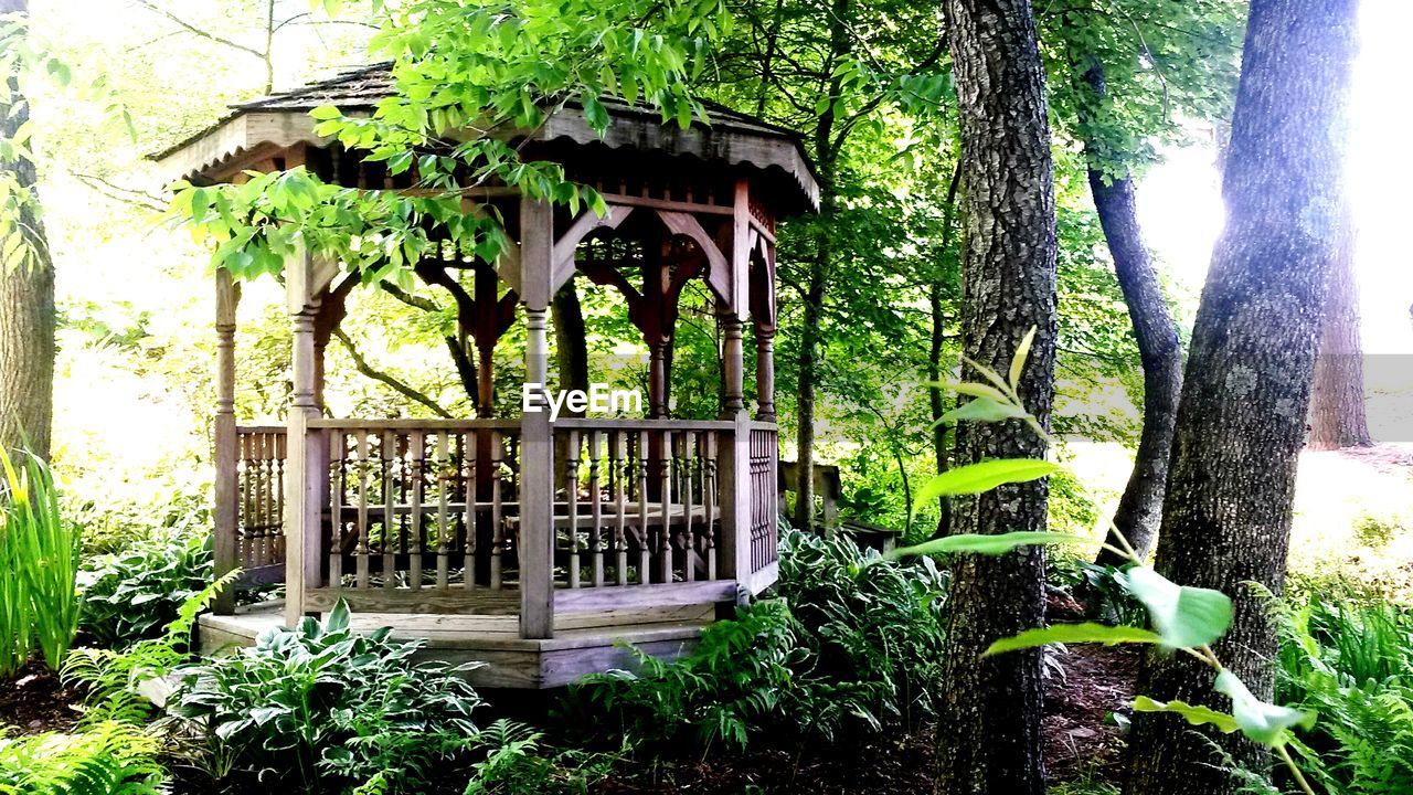 Gazebo in forest