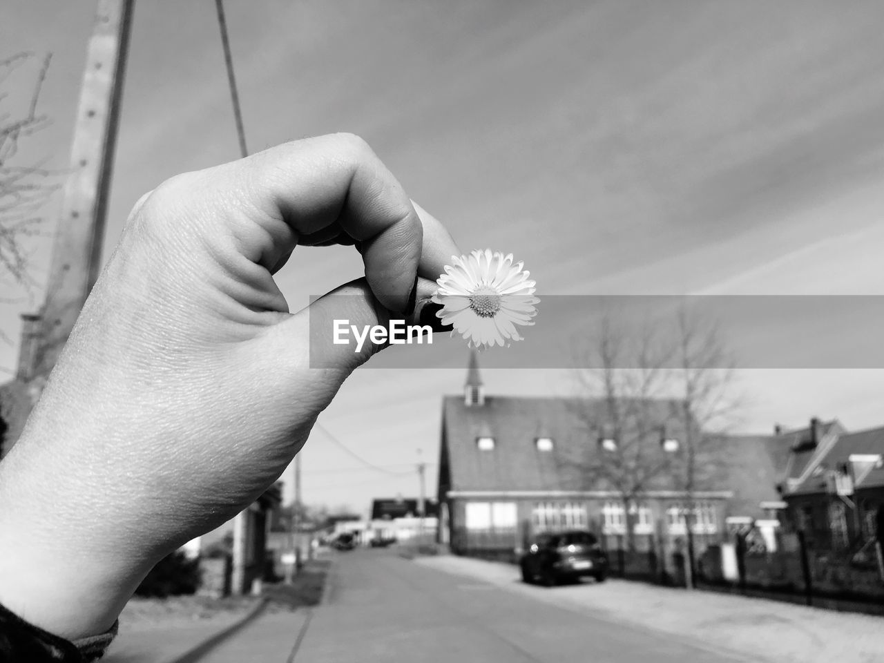 Close-up of human hand holding white flower on street