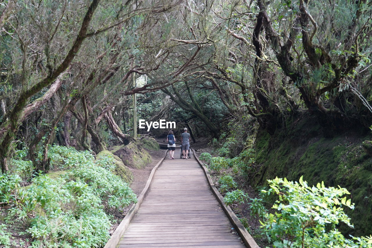 REAR VIEW OF PEOPLE WALKING ON FOOTPATH IN FOREST