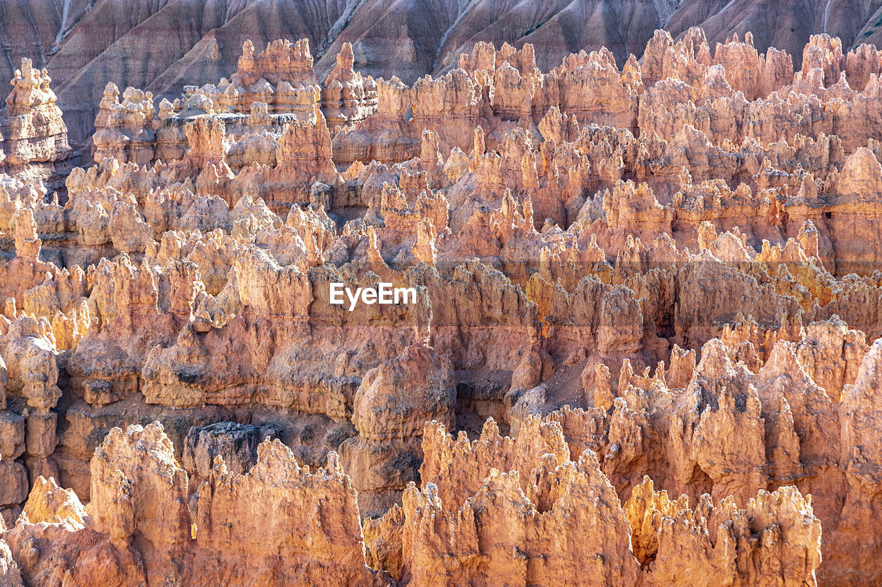 no people, nature, landscape, environment, scenics - nature, formation, beauty in nature, canyon, land, non-urban scene, day, plant, travel destinations, geology, rock formation, outdoors, rock, tranquility, mountain, travel, tranquil scene, rock hoodoo