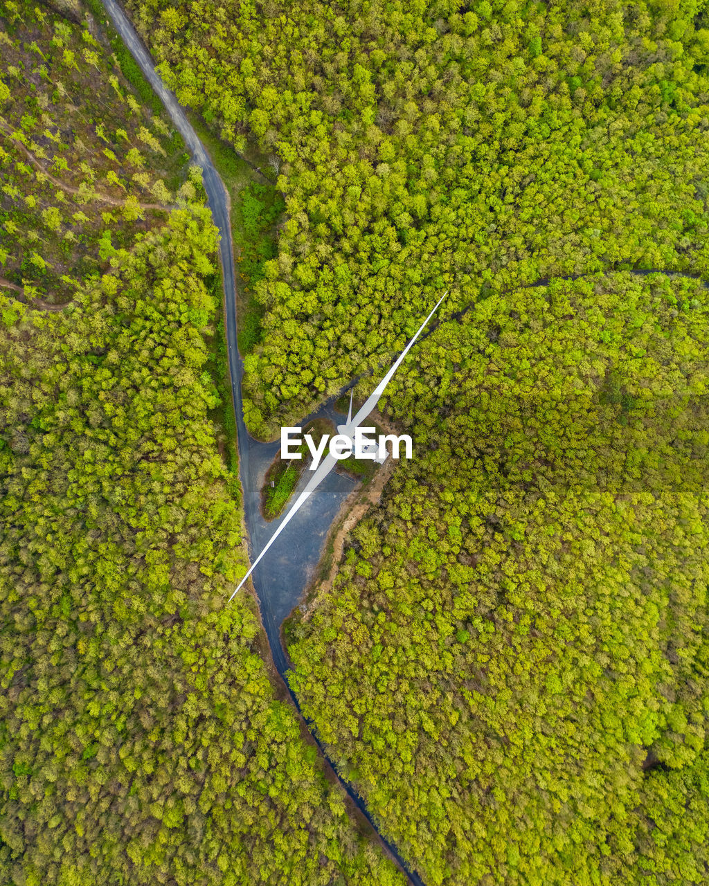 Aerial view of green landscape