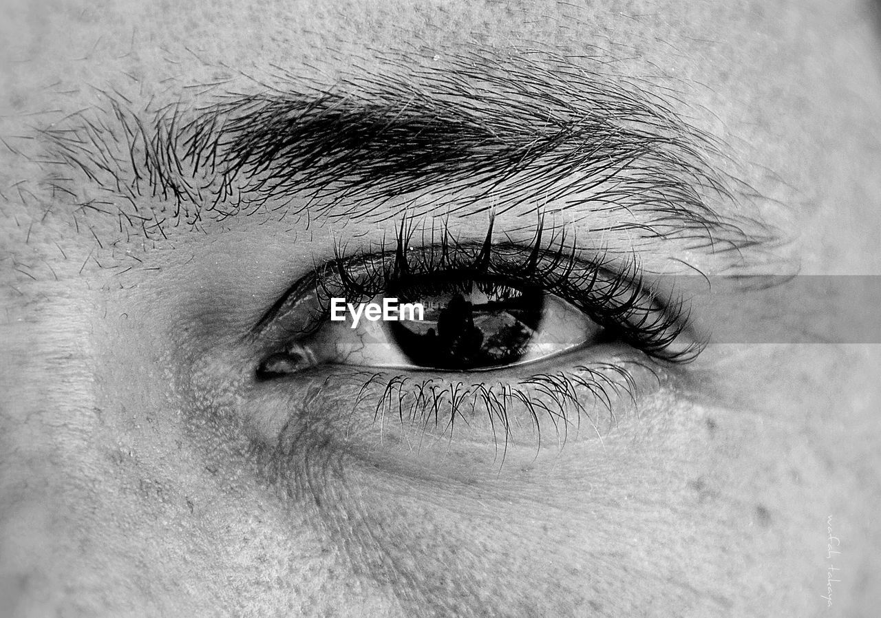 Detail shot of human eye and brows