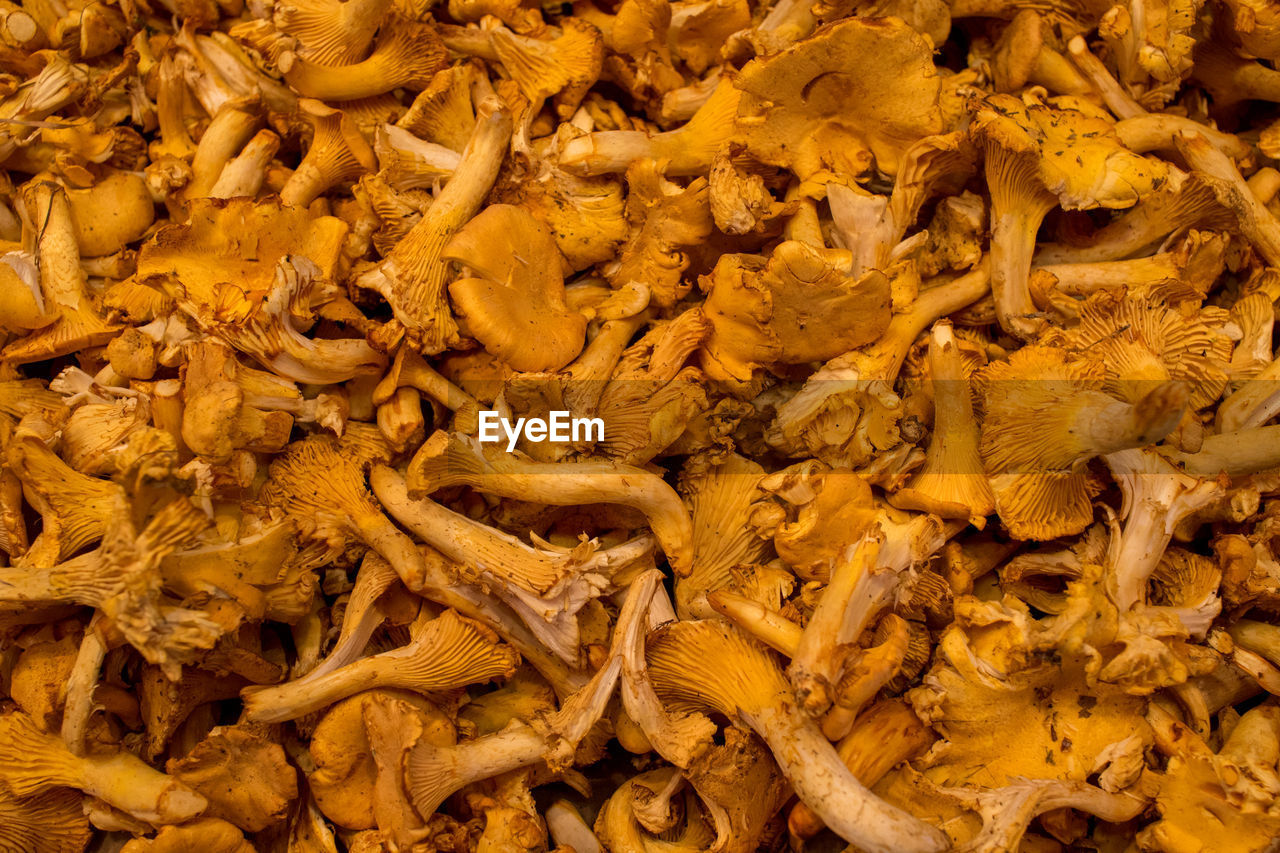 FULL FRAME SHOT OF MEAT