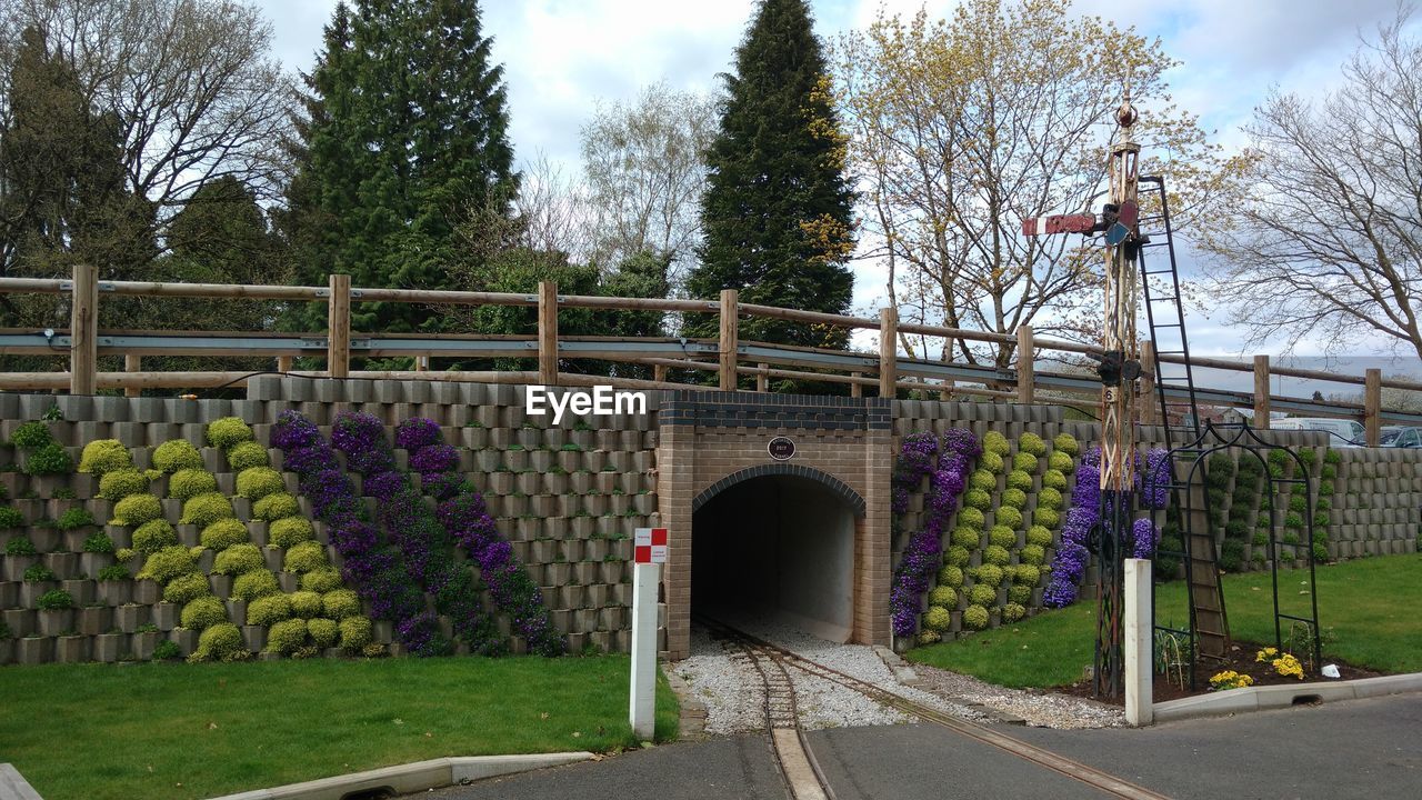 FOOTPATH AMIDST PLANTS IN PARK