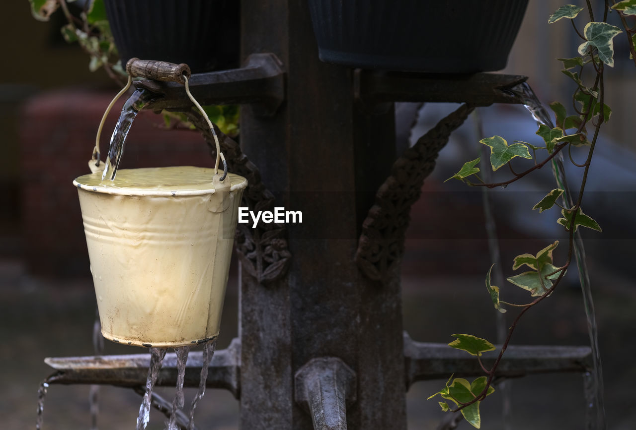 CLOSE-UP OF POTTED PLANT IN METAL CONTAINER