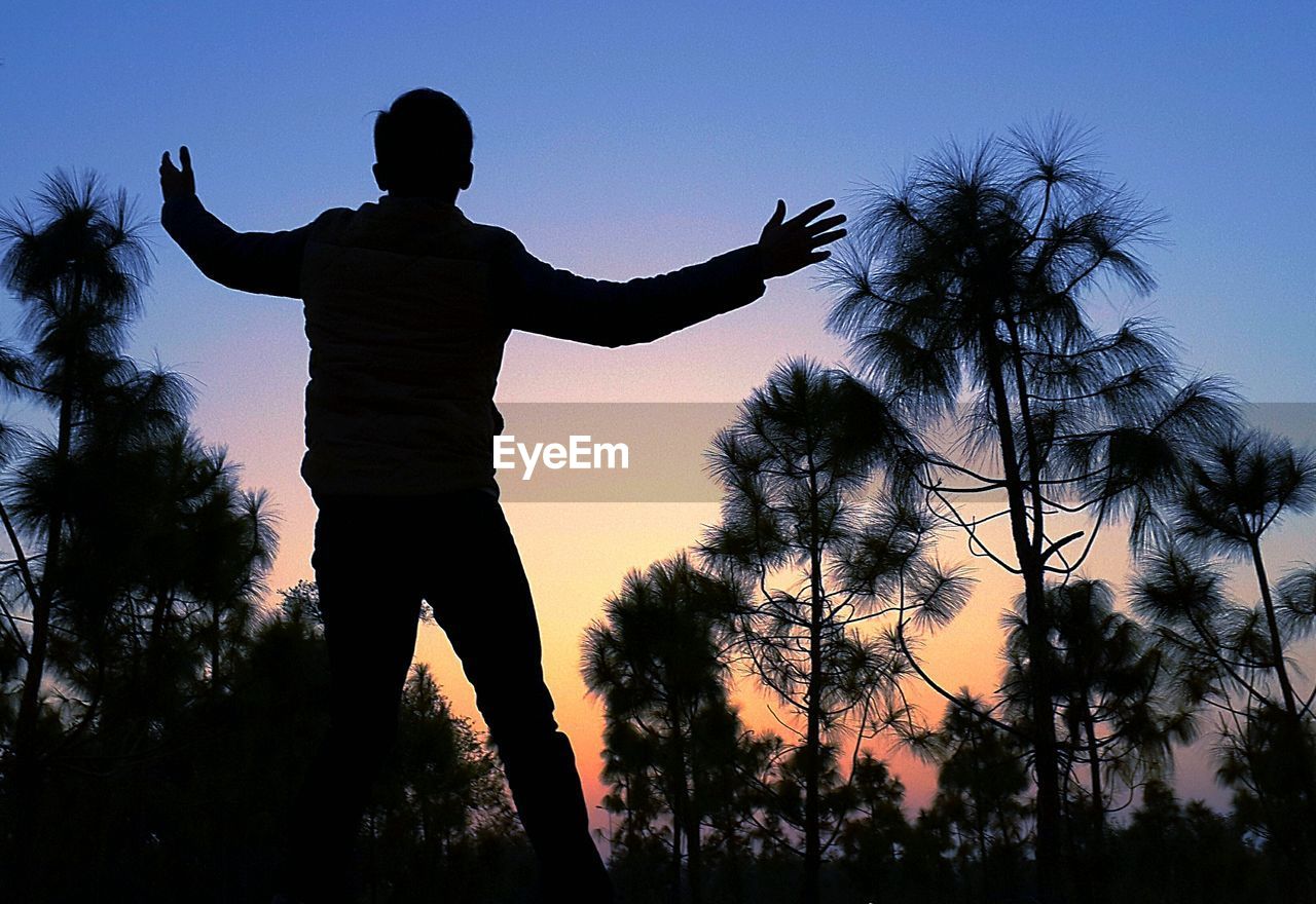Rear view of man with arms outstretched standing by silhouette trees against sky during sunset