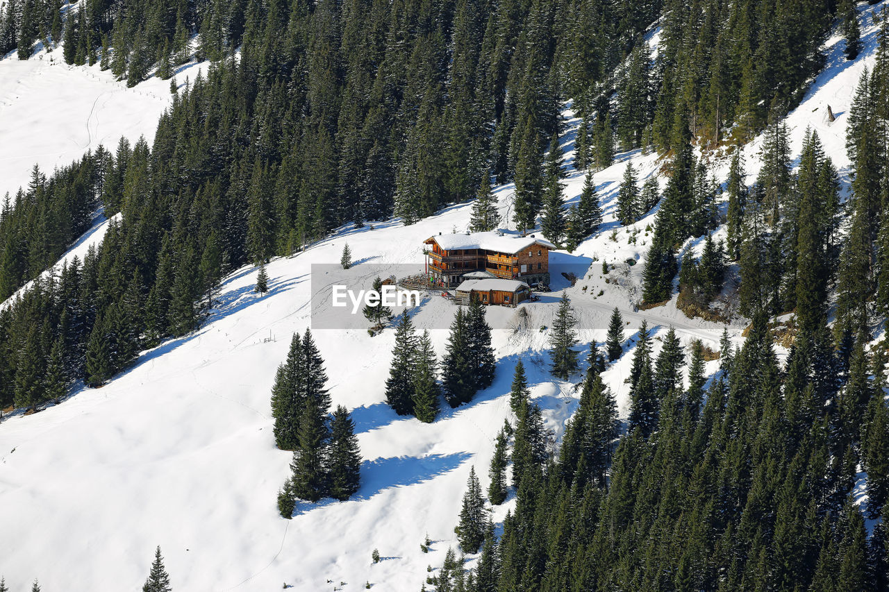 Camping house among evergreen forest on snow sunny slope of alp mountain in winter austria