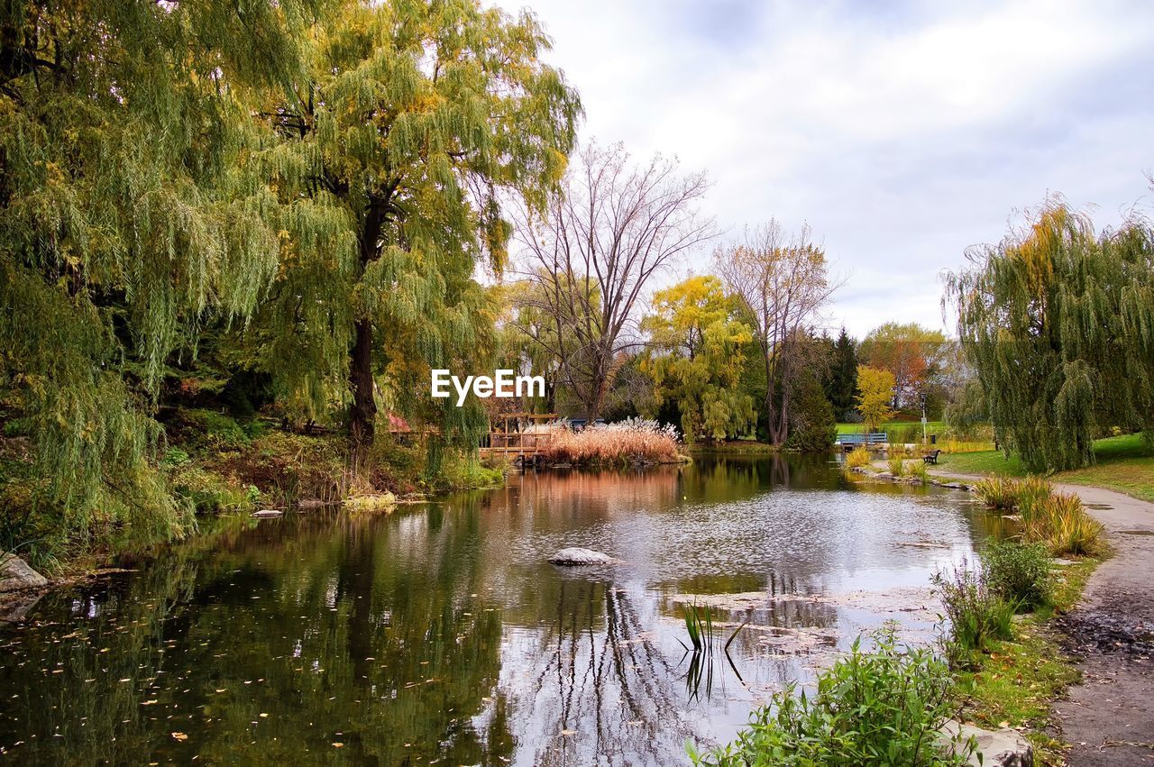 Scenic view of lake in forest against sky