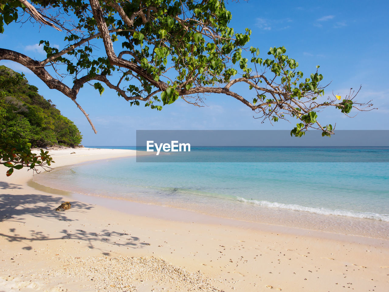 View of beach against blue sky