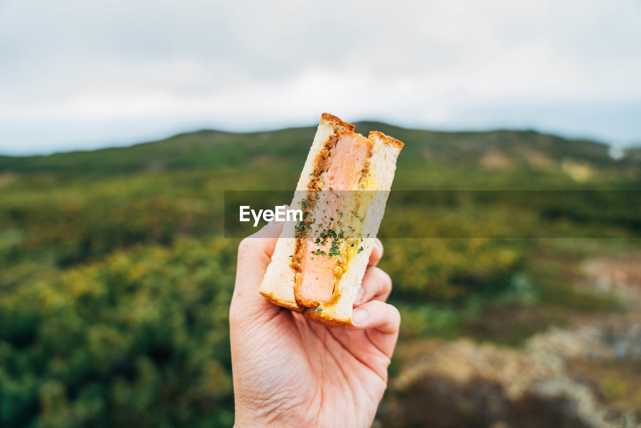 Close-up of hand holding sandwich against sky