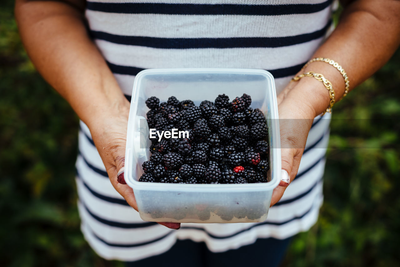 Midsection of woman holding blackberries in container