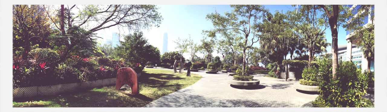 Panoramic view of park