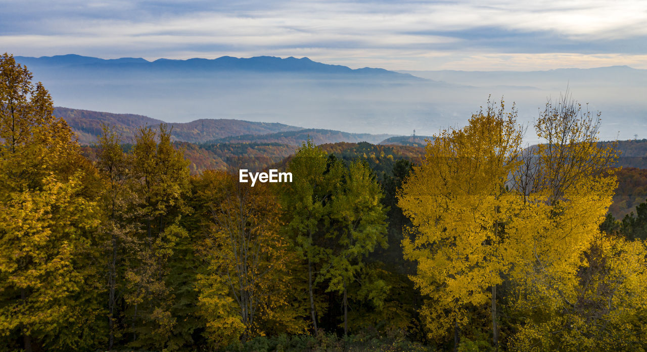 SCENIC VIEW OF AUTUMN TREES AND MOUNTAINS AGAINST SKY