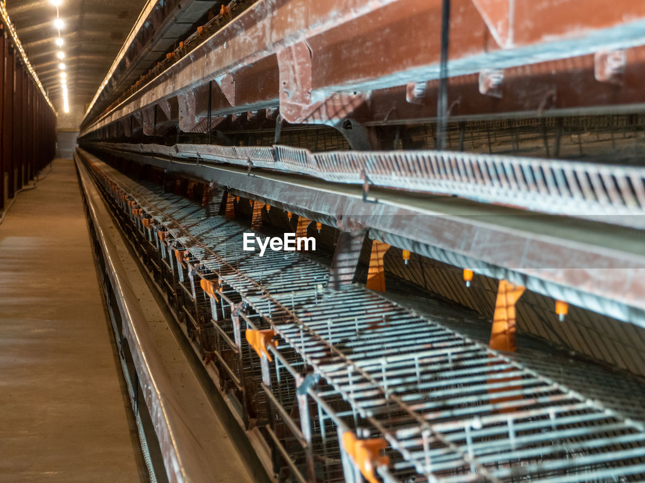 The empty laying cages in the chicken farm