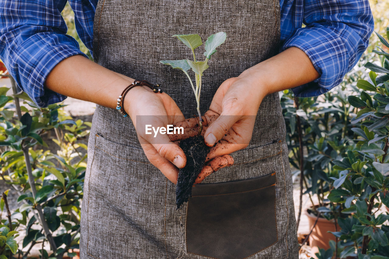 Anonymous female gardener holding in hands young green plant with ground while working in greenhouse and planting flowers