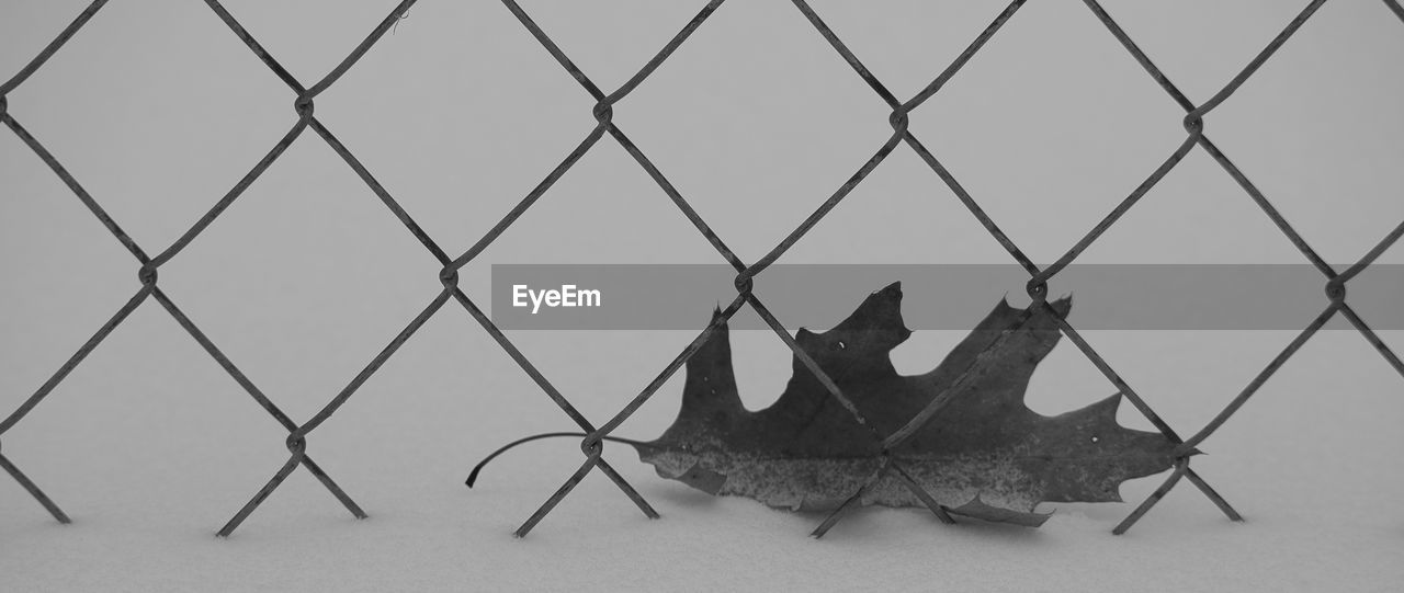 LOW ANGLE VIEW OF CHAINLINK FENCE AGAINST SKY SEEN THROUGH METAL GRATE