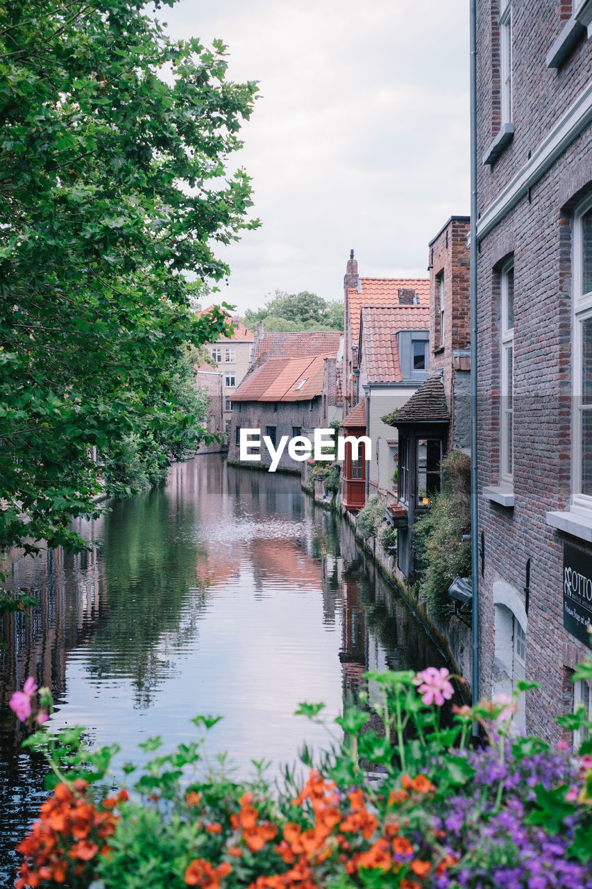 Canal amidst houses and buildings against sky