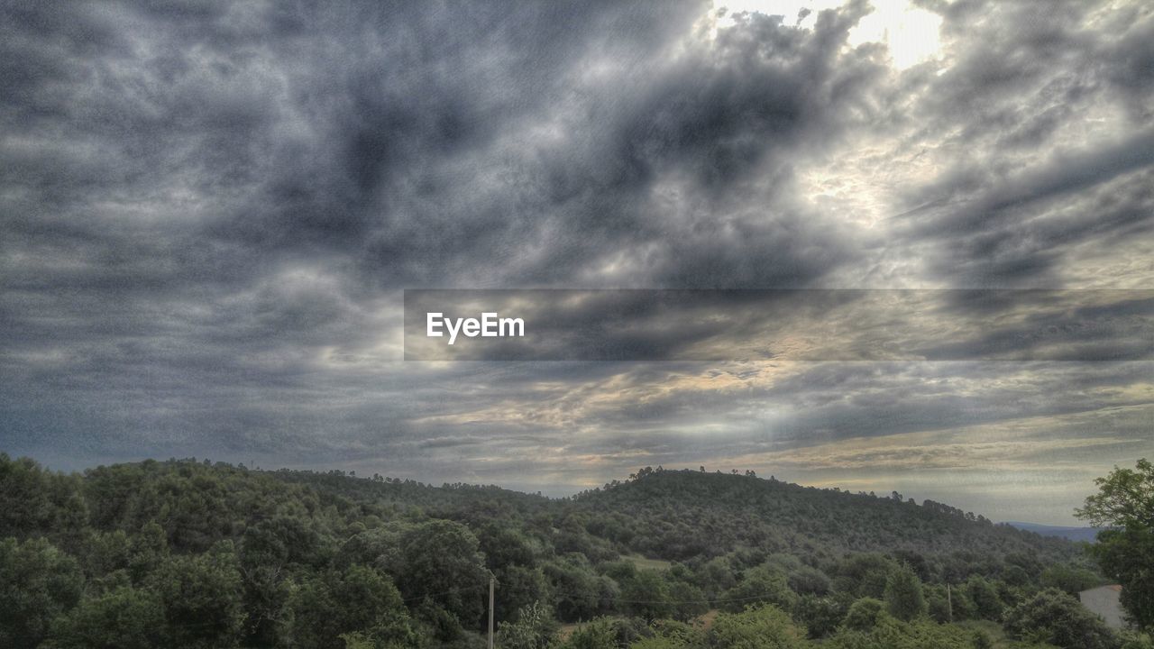 TREES ON LANDSCAPE AGAINST CLOUDY SKY