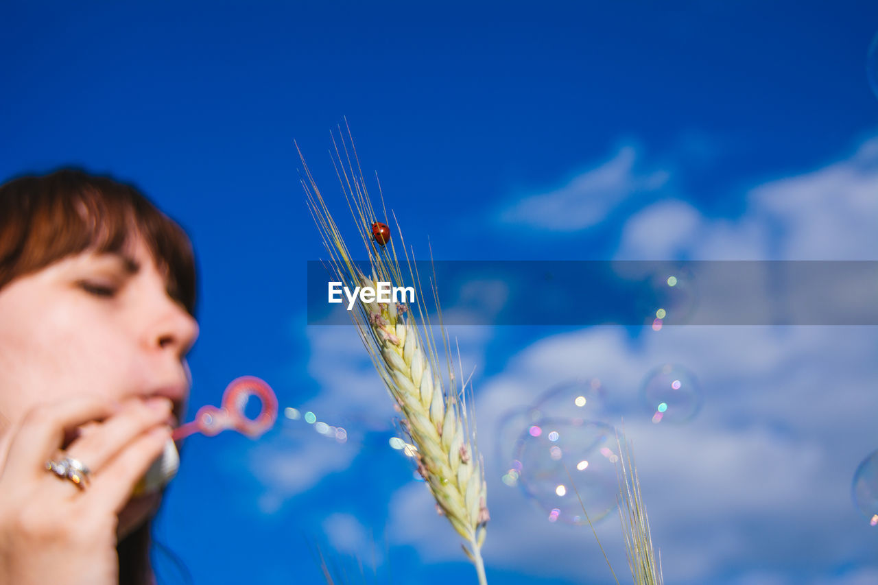 Close-up of ladybug on wheat plant with woman blowing bubbles against sky